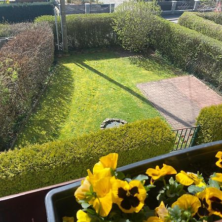 Ferienwohnung „Thea“ Bad Lausick Esterno foto
