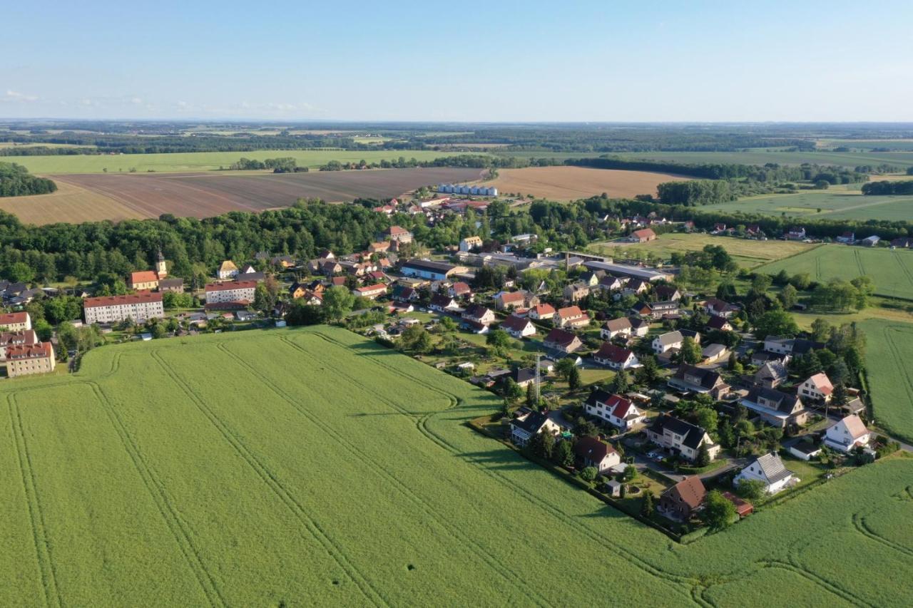 Ferienwohnung „Thea“ Bad Lausick Esterno foto