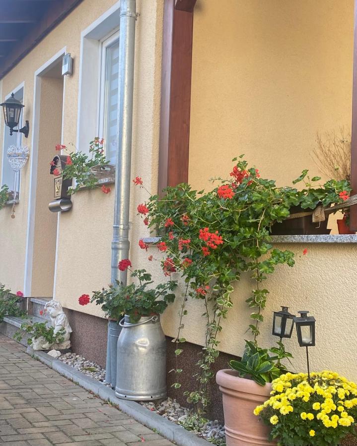 Ferienwohnung „Thea“ Bad Lausick Esterno foto